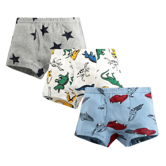 Five Pointed Star Bunch Boys' Boxers